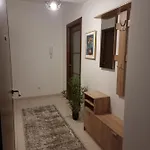 Big Apartment